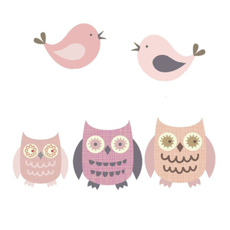 Owls And Birds